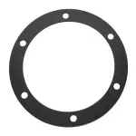 Hub Cap Gasket Replaces 330-3009
