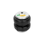 Dominator Air Spring Replaces 58343