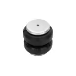 Dominator Air Spring Replaces 58343