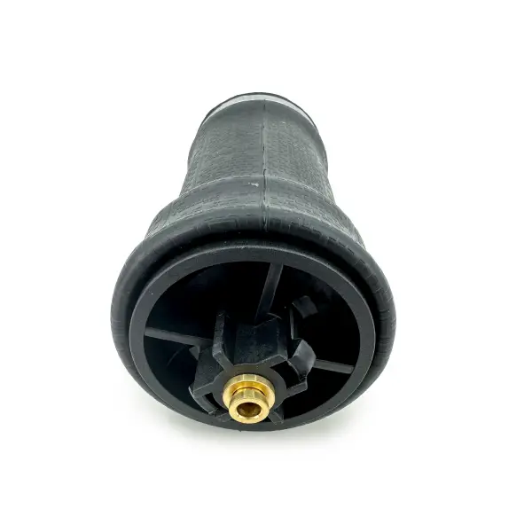 Cabin Air Spring for Kenworth Replaces T81-1000, W02-358-7109