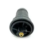 Cabin Air Spring for Kenworth Replaces T81-1000, W02-358-7109