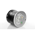 Air Springs Replaces W01-358-9586, W013589586, 90557249