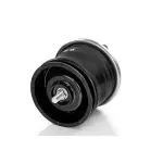 Air Springs Replaces W01-358-9586, W013589586, 90557249